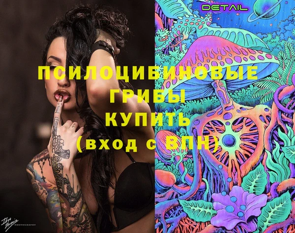 бошки Верхний Тагил