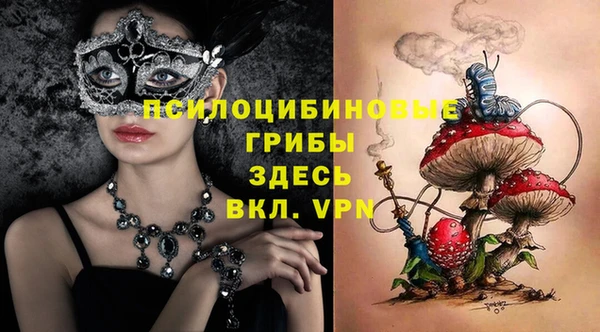 стафф Волоколамск